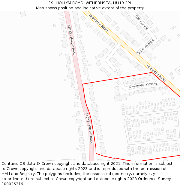 19, HOLLYM ROAD, WITHERNSEA, HU19 2PL: Location map and indicative extent of plot