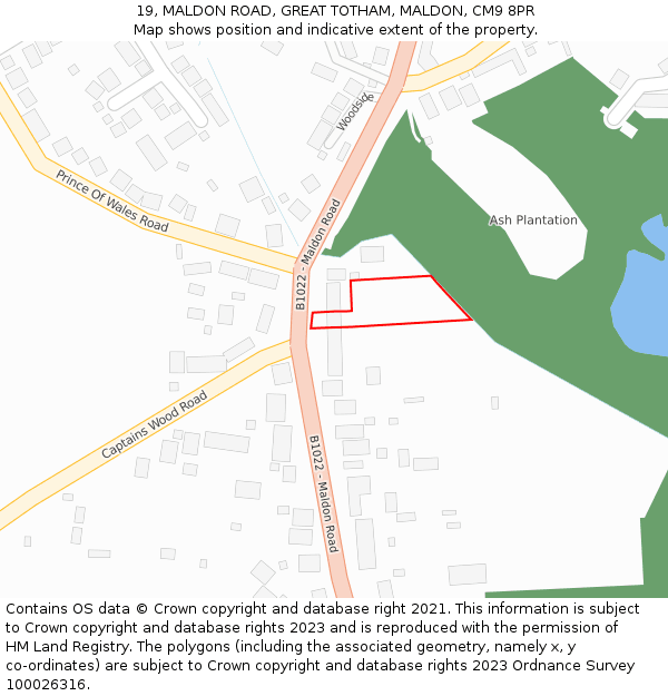 19, MALDON ROAD, GREAT TOTHAM, MALDON, CM9 8PR: Location map and indicative extent of plot