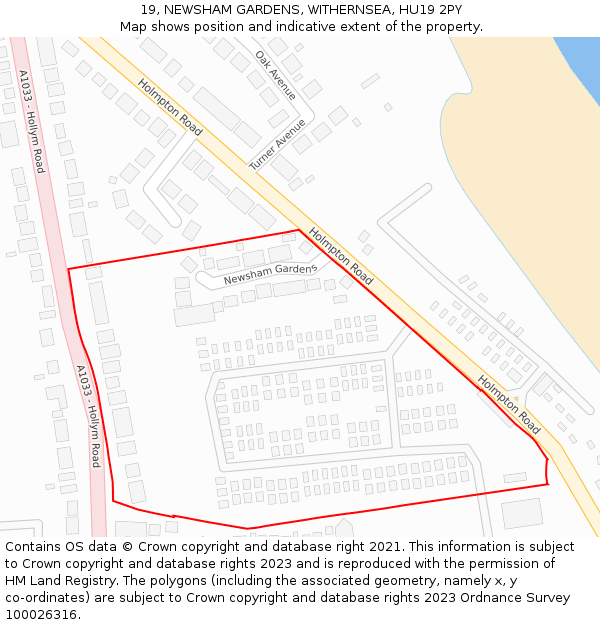 19, NEWSHAM GARDENS, WITHERNSEA, HU19 2PY: Location map and indicative extent of plot