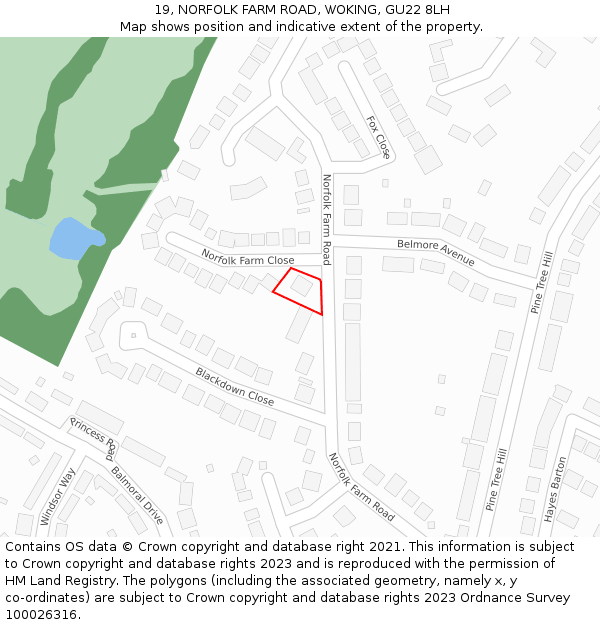 19, NORFOLK FARM ROAD, WOKING, GU22 8LH: Location map and indicative extent of plot