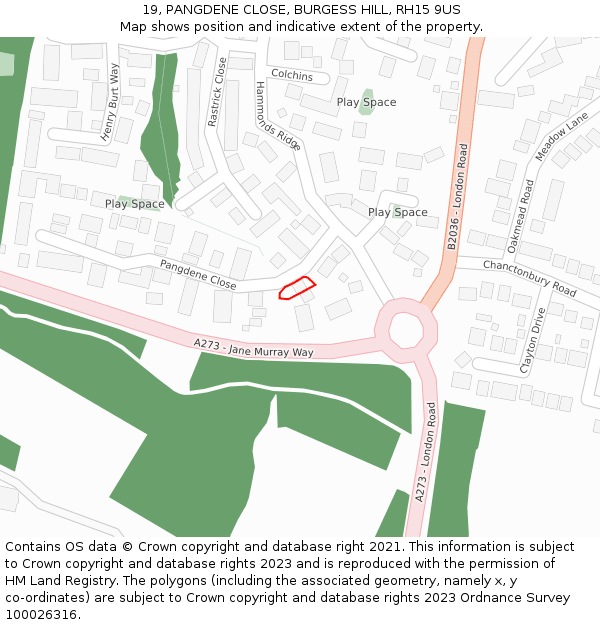 19, PANGDENE CLOSE, BURGESS HILL, RH15 9US: Location map and indicative extent of plot