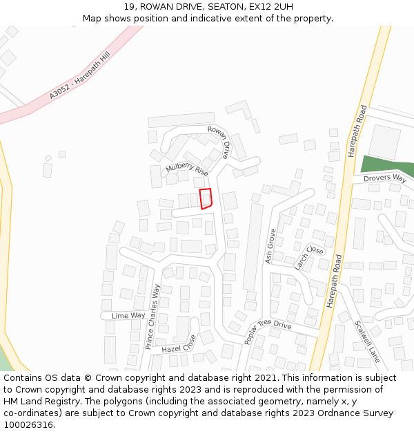 19, ROWAN DRIVE, SEATON, EX12 2UH: Location map and indicative extent of plot
