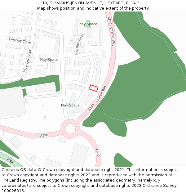 19, SILVANUS JENKIN AVENUE, LISKEARD, PL14 3UL: Location map and indicative extent of plot