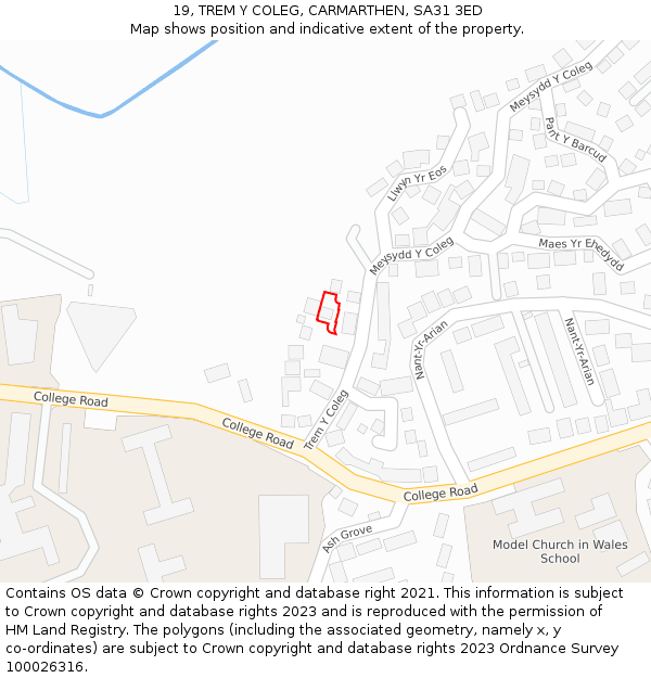 19, TREM Y COLEG, CARMARTHEN, SA31 3ED: Location map and indicative extent of plot