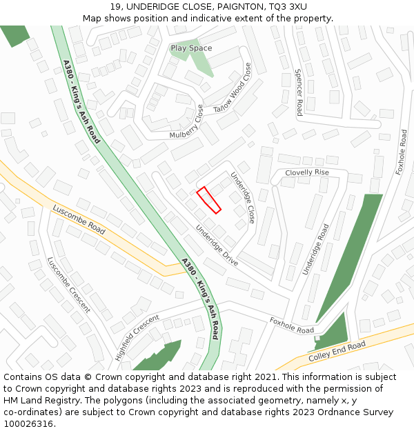 19, UNDERIDGE CLOSE, PAIGNTON, TQ3 3XU: Location map and indicative extent of plot