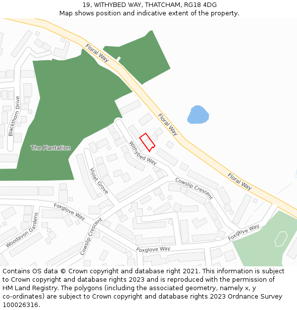 19, WITHYBED WAY, THATCHAM, RG18 4DG: Location map and indicative extent of plot