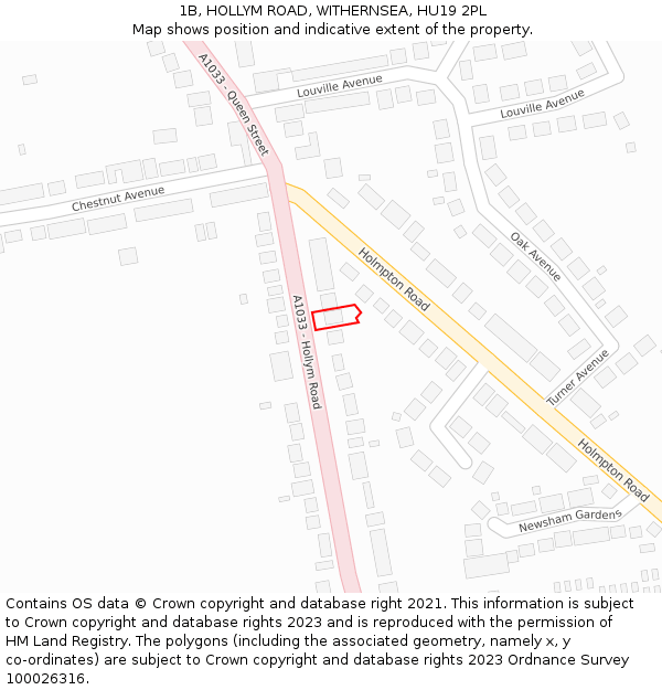 1B, HOLLYM ROAD, WITHERNSEA, HU19 2PL: Location map and indicative extent of plot