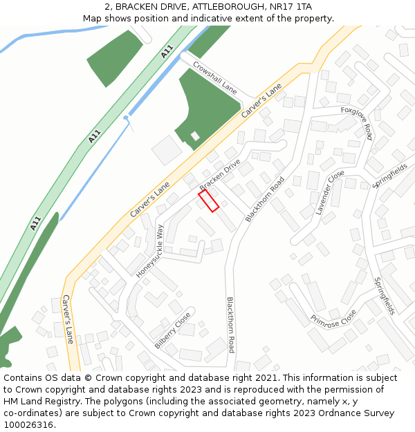 2, BRACKEN DRIVE, ATTLEBOROUGH, NR17 1TA: Location map and indicative extent of plot