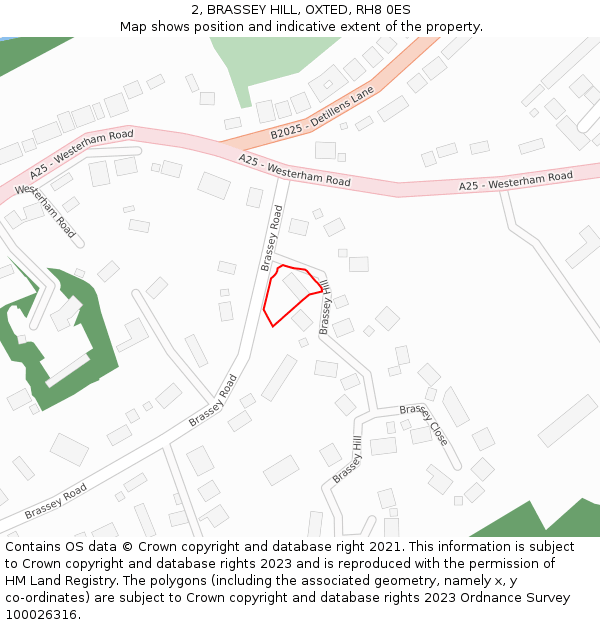 2, BRASSEY HILL, OXTED, RH8 0ES: Location map and indicative extent of plot