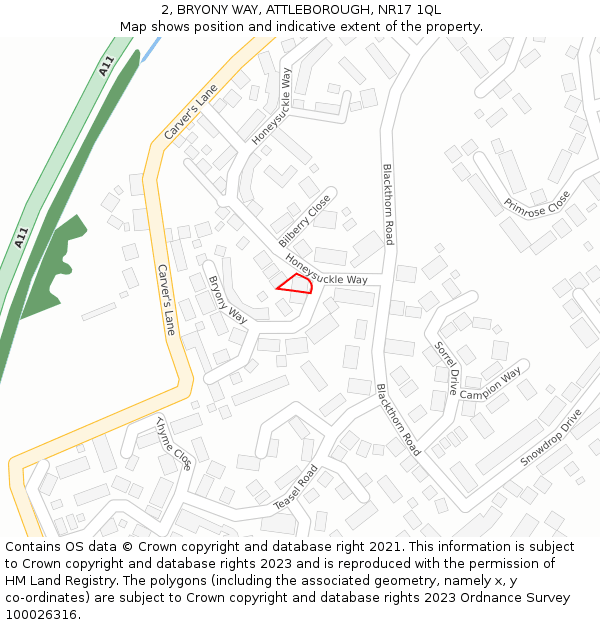 2, BRYONY WAY, ATTLEBOROUGH, NR17 1QL: Location map and indicative extent of plot