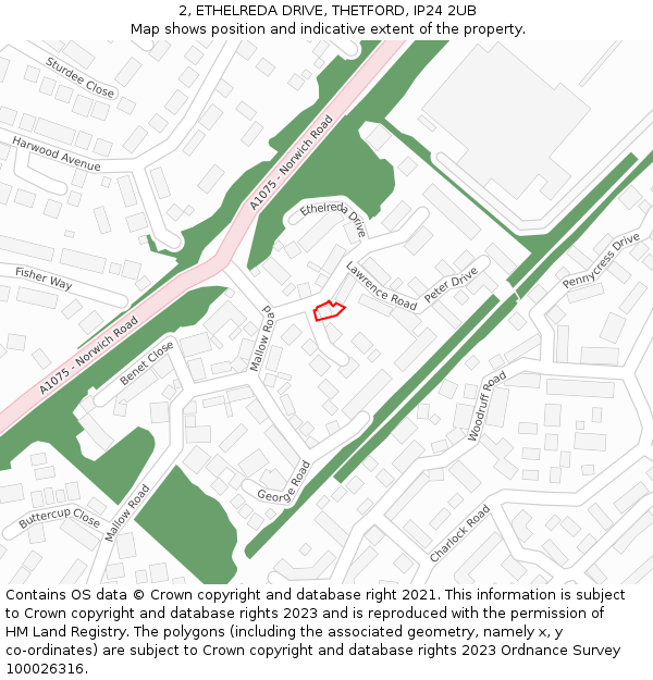 2, ETHELREDA DRIVE, THETFORD, IP24 2UB: Location map and indicative extent of plot