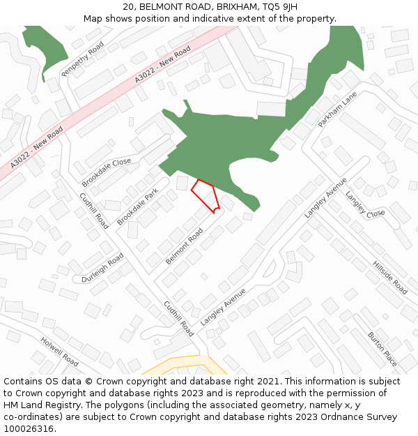 20, BELMONT ROAD, BRIXHAM, TQ5 9JH: Location map and indicative extent of plot