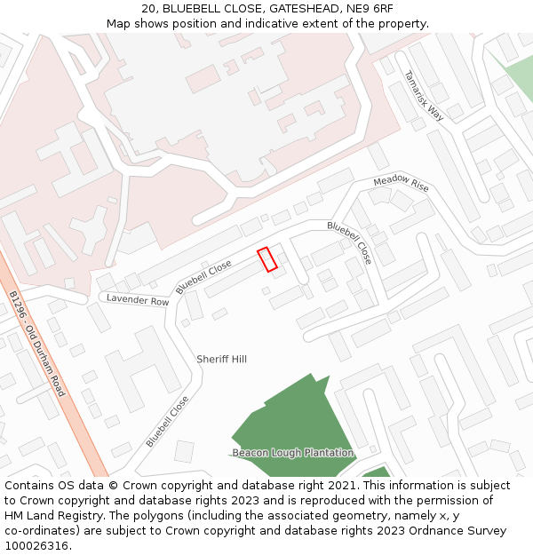 20, BLUEBELL CLOSE, GATESHEAD, NE9 6RF: Location map and indicative extent of plot