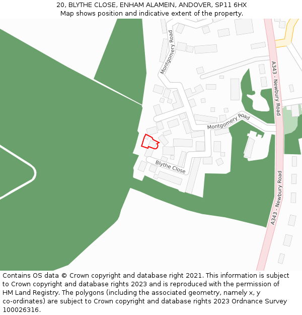 20, BLYTHE CLOSE, ENHAM ALAMEIN, ANDOVER, SP11 6HX: Location map and indicative extent of plot