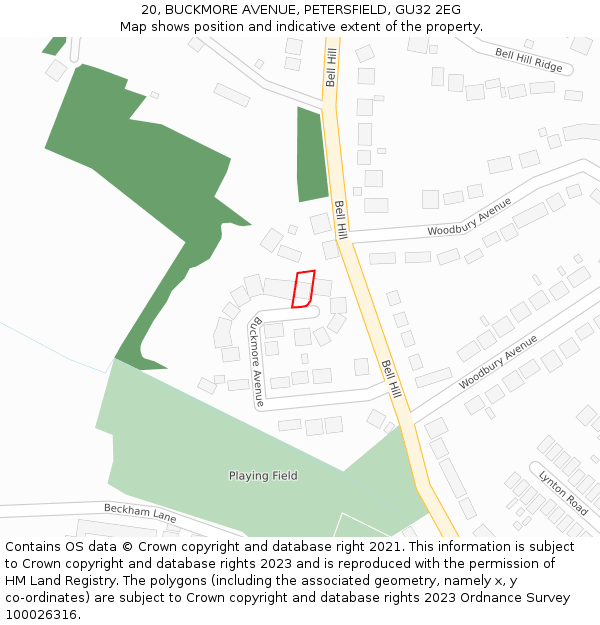 20, BUCKMORE AVENUE, PETERSFIELD, GU32 2EG: Location map and indicative extent of plot