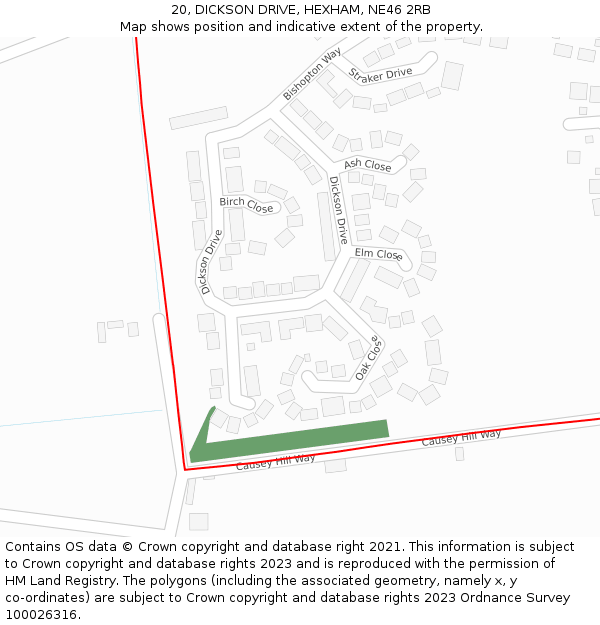 20, DICKSON DRIVE, HEXHAM, NE46 2RB: Location map and indicative extent of plot