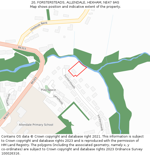 20, FORSTERSTEADS, ALLENDALE, HEXHAM, NE47 9AS: Location map and indicative extent of plot