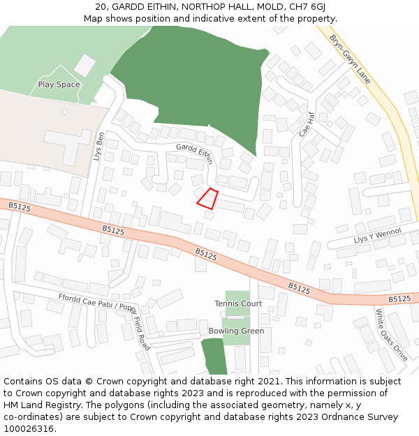 20, GARDD EITHIN, NORTHOP HALL, MOLD, CH7 6GJ: Location map and indicative extent of plot