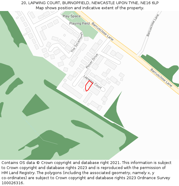 20, LAPWING COURT, BURNOPFIELD, NEWCASTLE UPON TYNE, NE16 6LP: Location map and indicative extent of plot