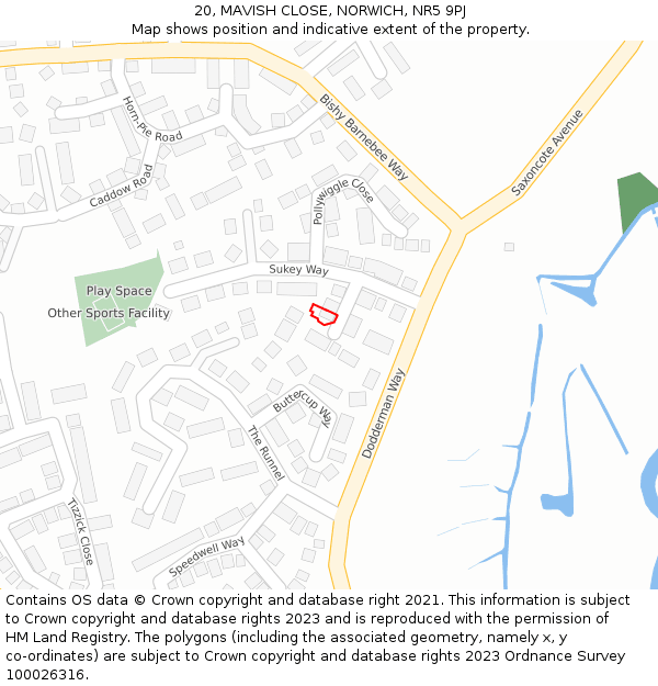 20, MAVISH CLOSE, NORWICH, NR5 9PJ: Location map and indicative extent of plot