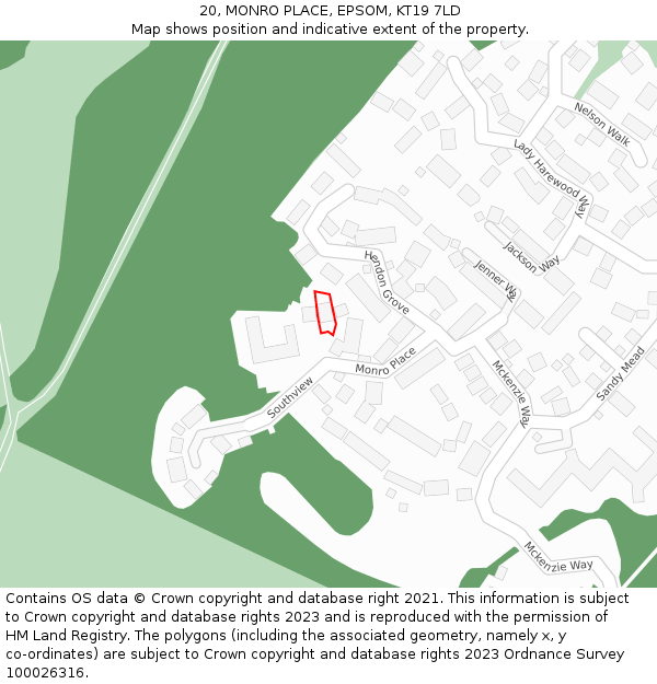 20, MONRO PLACE, EPSOM, KT19 7LD: Location map and indicative extent of plot