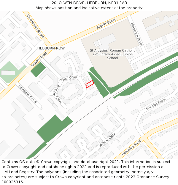 20, OLWEN DRIVE, HEBBURN, NE31 1AR: Location map and indicative extent of plot