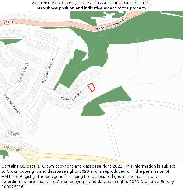 20, PLYNLIMON CLOSE, CROESPENMAEN, NEWPORT, NP11 3GJ: Location map and indicative extent of plot