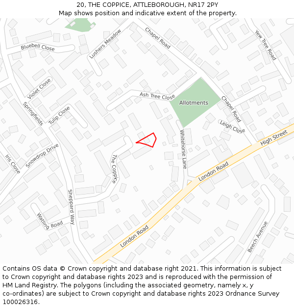 20, THE COPPICE, ATTLEBOROUGH, NR17 2PY: Location map and indicative extent of plot