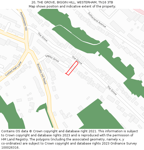 20, THE GROVE, BIGGIN HILL, WESTERHAM, TN16 3TB: Location map and indicative extent of plot