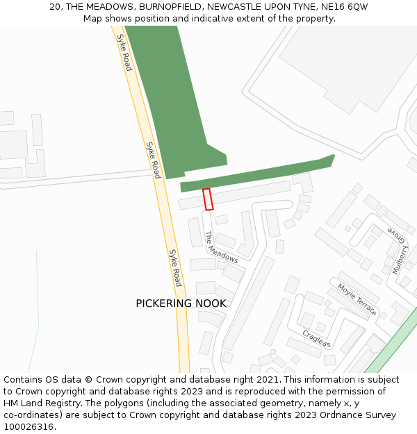 20, THE MEADOWS, BURNOPFIELD, NEWCASTLE UPON TYNE, NE16 6QW: Location map and indicative extent of plot