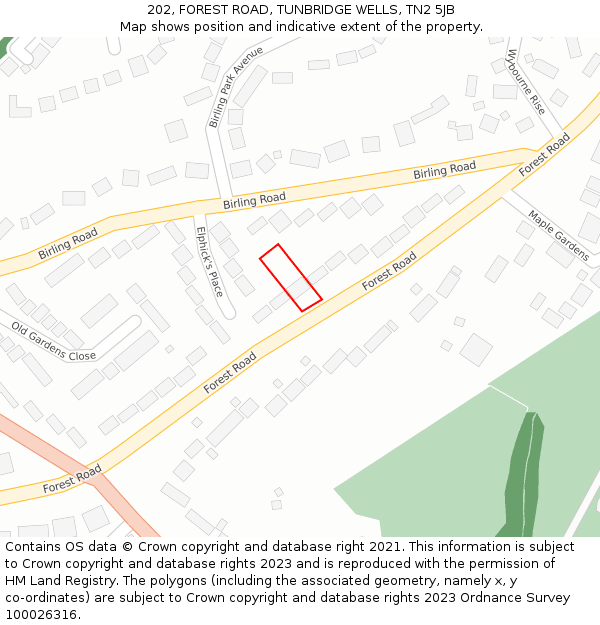 202, FOREST ROAD, TUNBRIDGE WELLS, TN2 5JB: Location map and indicative extent of plot