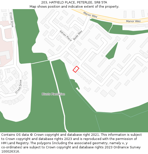 203, HATFIELD PLACE, PETERLEE, SR8 5TA: Location map and indicative extent of plot