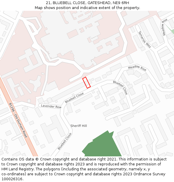 21, BLUEBELL CLOSE, GATESHEAD, NE9 6RH: Location map and indicative extent of plot