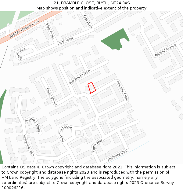 21, BRAMBLE CLOSE, BLYTH, NE24 3XS: Location map and indicative extent of plot