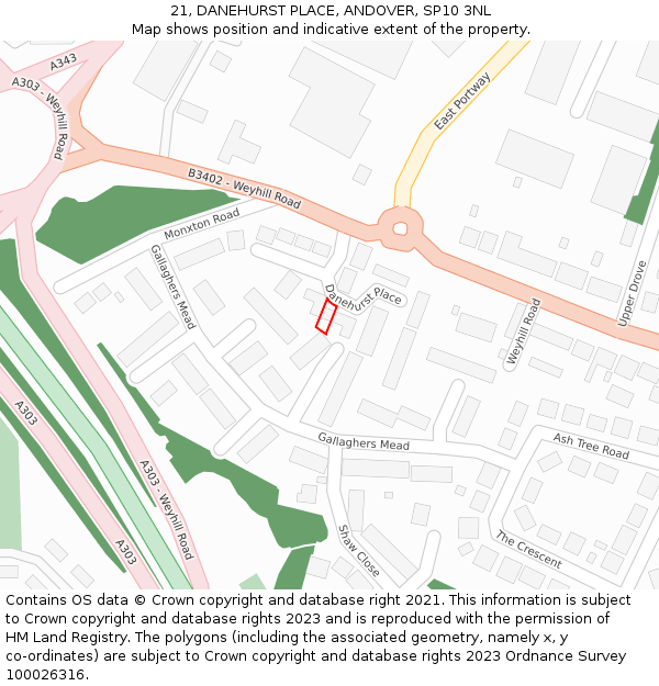 21, DANEHURST PLACE, ANDOVER, SP10 3NL: Location map and indicative extent of plot