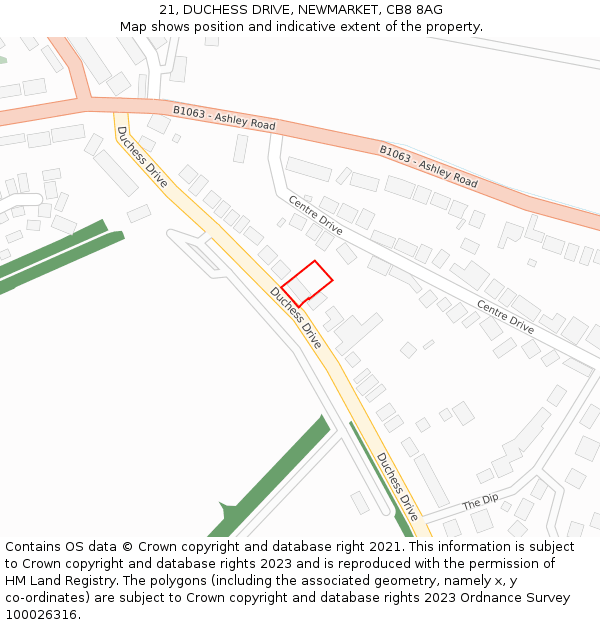 21, DUCHESS DRIVE, NEWMARKET, CB8 8AG: Location map and indicative extent of plot