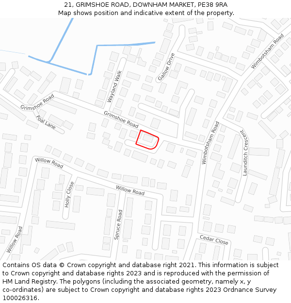 21, GRIMSHOE ROAD, DOWNHAM MARKET, PE38 9RA: Location map and indicative extent of plot