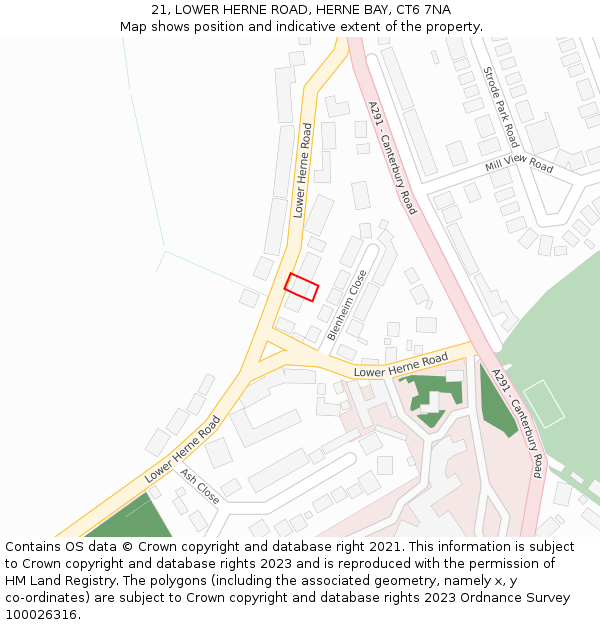 21, LOWER HERNE ROAD, HERNE BAY, CT6 7NA: Location map and indicative extent of plot