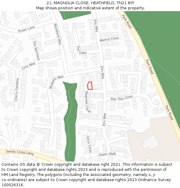 21, MAGNOLIA CLOSE, HEATHFIELD, TN21 8YF: Location map and indicative extent of plot