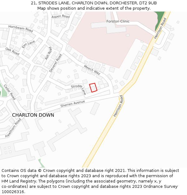 21, STRODES LANE, CHARLTON DOWN, DORCHESTER, DT2 9UB: Location map and indicative extent of plot