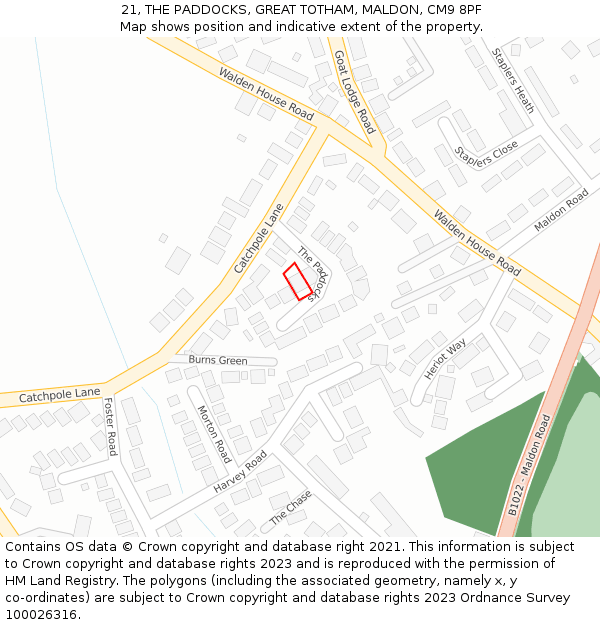 21, THE PADDOCKS, GREAT TOTHAM, MALDON, CM9 8PF: Location map and indicative extent of plot