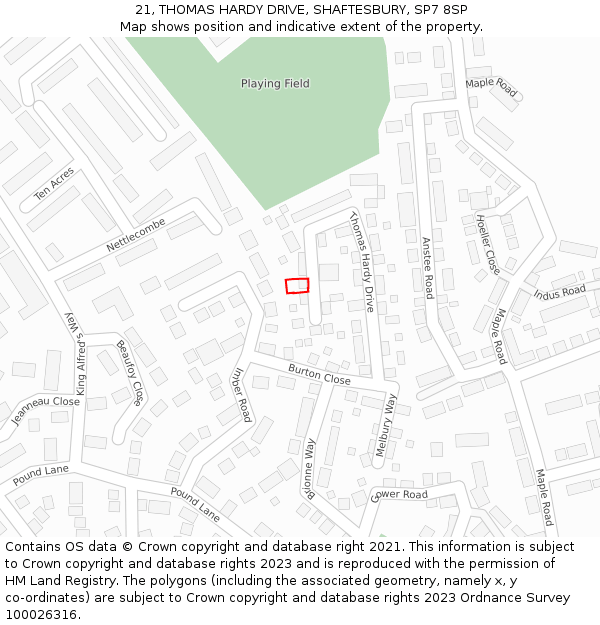 21, THOMAS HARDY DRIVE, SHAFTESBURY, SP7 8SP: Location map and indicative extent of plot