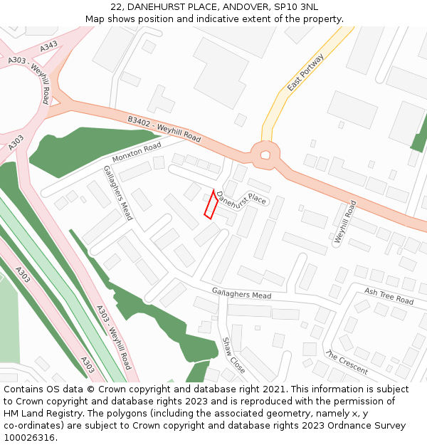 22, DANEHURST PLACE, ANDOVER, SP10 3NL: Location map and indicative extent of plot