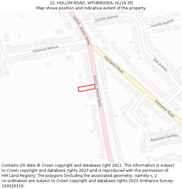 22, HOLLYM ROAD, WITHERNSEA, HU19 2PJ: Location map and indicative extent of plot