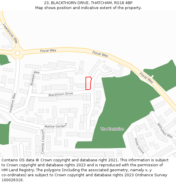 23, BLACKTHORN DRIVE, THATCHAM, RG18 4BP: Location map and indicative extent of plot