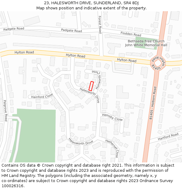 23, HALESWORTH DRIVE, SUNDERLAND, SR4 8DJ: Location map and indicative extent of plot