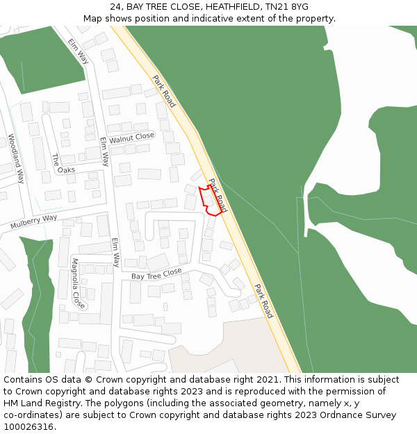 24, BAY TREE CLOSE, HEATHFIELD, TN21 8YG: Location map and indicative extent of plot
