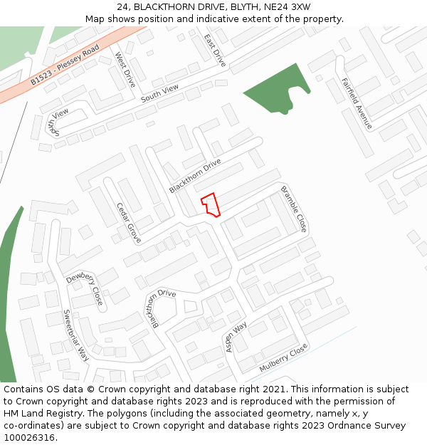 24, BLACKTHORN DRIVE, BLYTH, NE24 3XW: Location map and indicative extent of plot