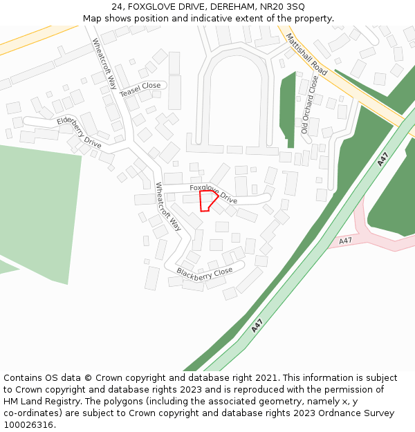 24, FOXGLOVE DRIVE, DEREHAM, NR20 3SQ: Location map and indicative extent of plot