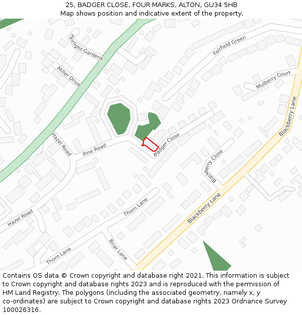 25, BADGER CLOSE, FOUR MARKS, ALTON, GU34 5HB: Location map and indicative extent of plot